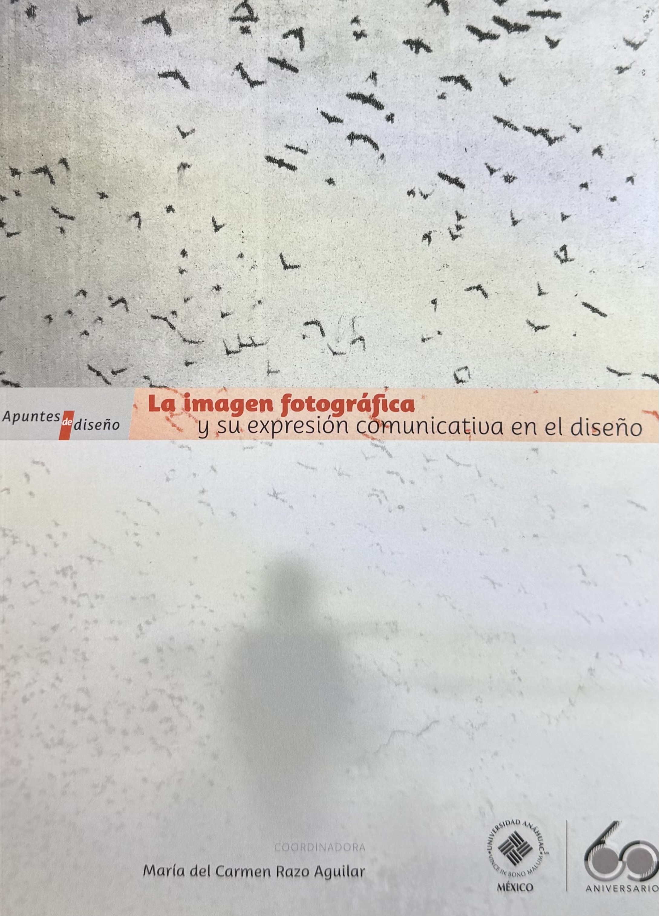 La imagen fotográfica y su expresión comunicativa en el diseño