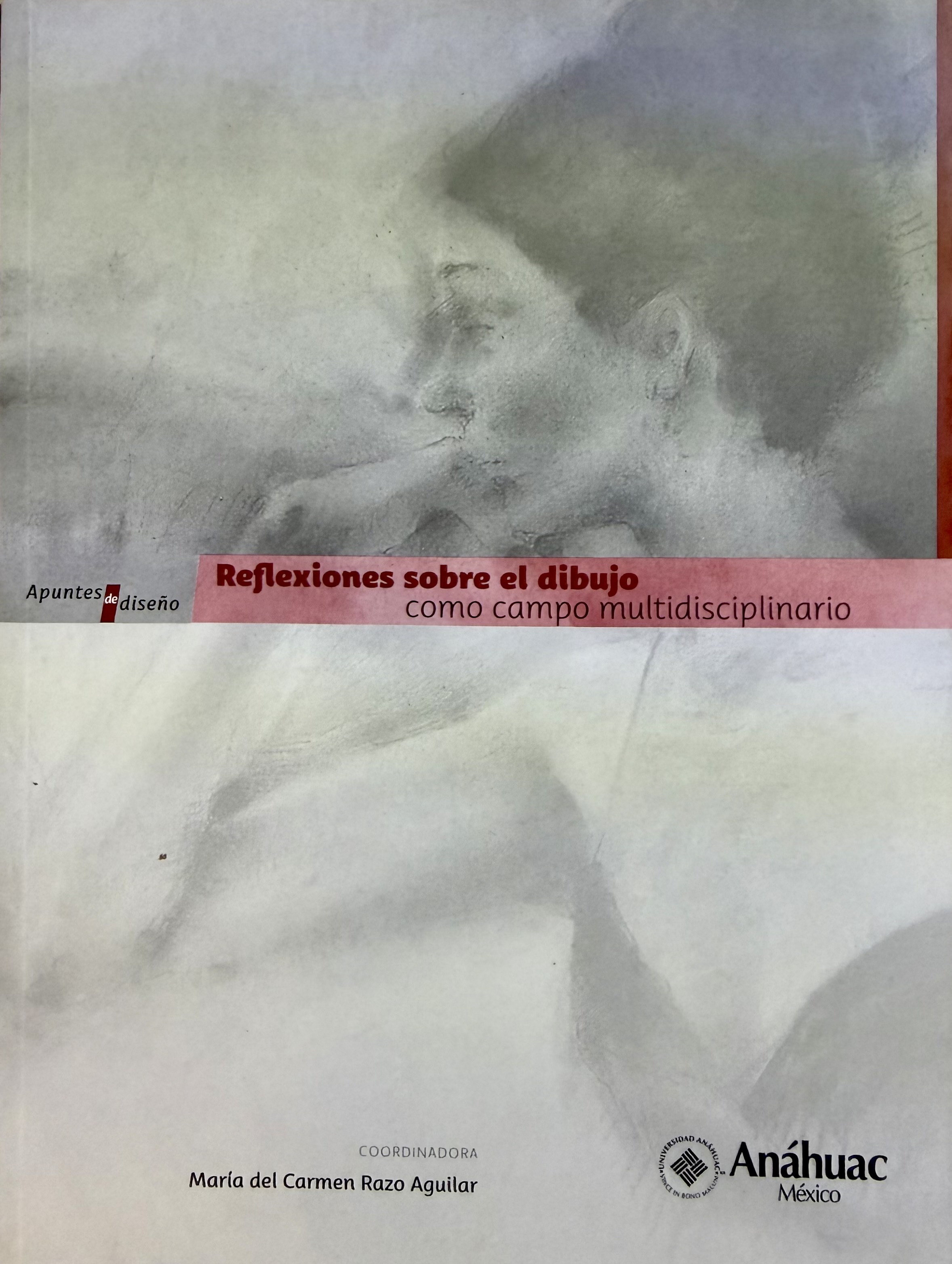 Reflexiones sobre el dibujo como campo multidisciplinario
